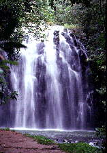 Ellinjaa Falls