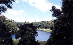 Lake Euramoo Walk